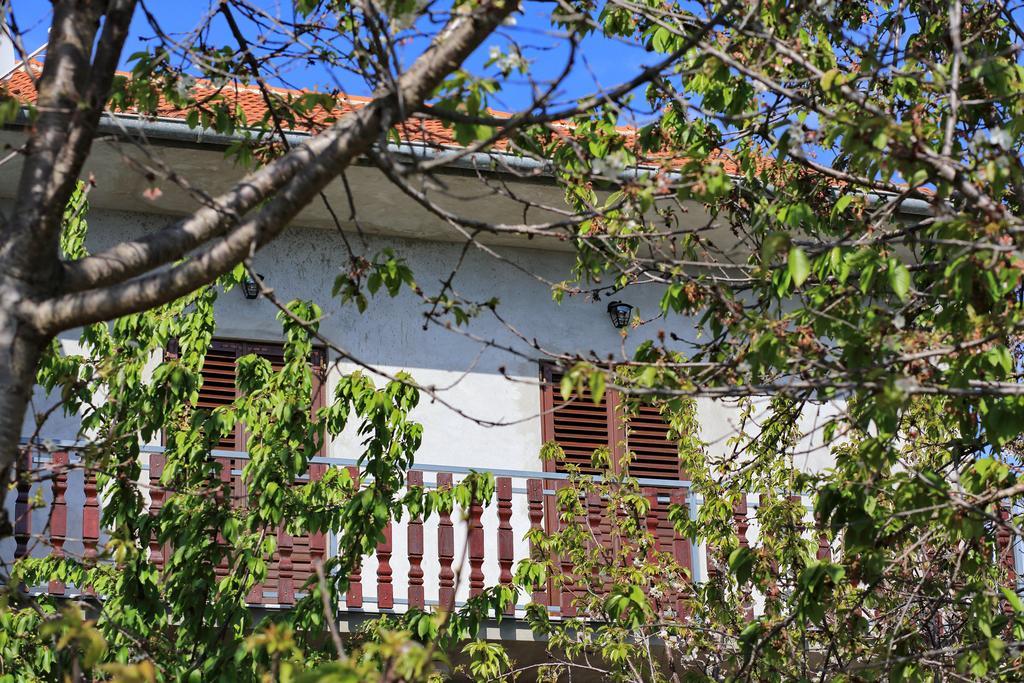 Apartment Ante Bibinje Ngoại thất bức ảnh